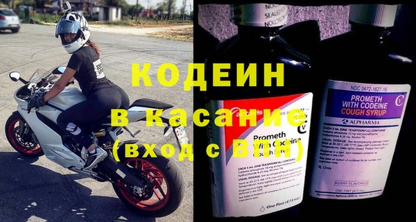 прущие грибы Вязники
