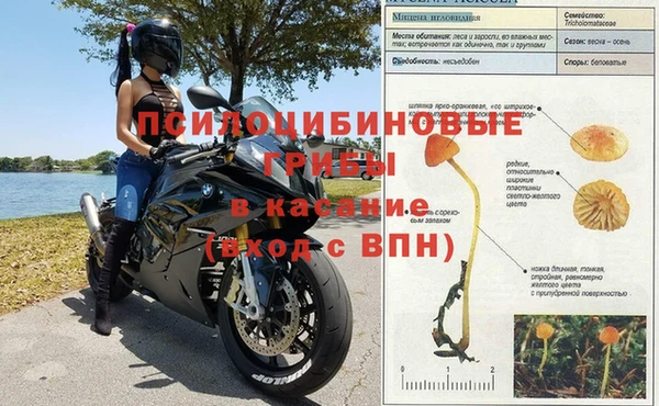 герыч Вяземский