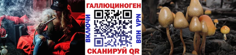 Галлюциногенные грибы Psilocybine cubensis  Химки 